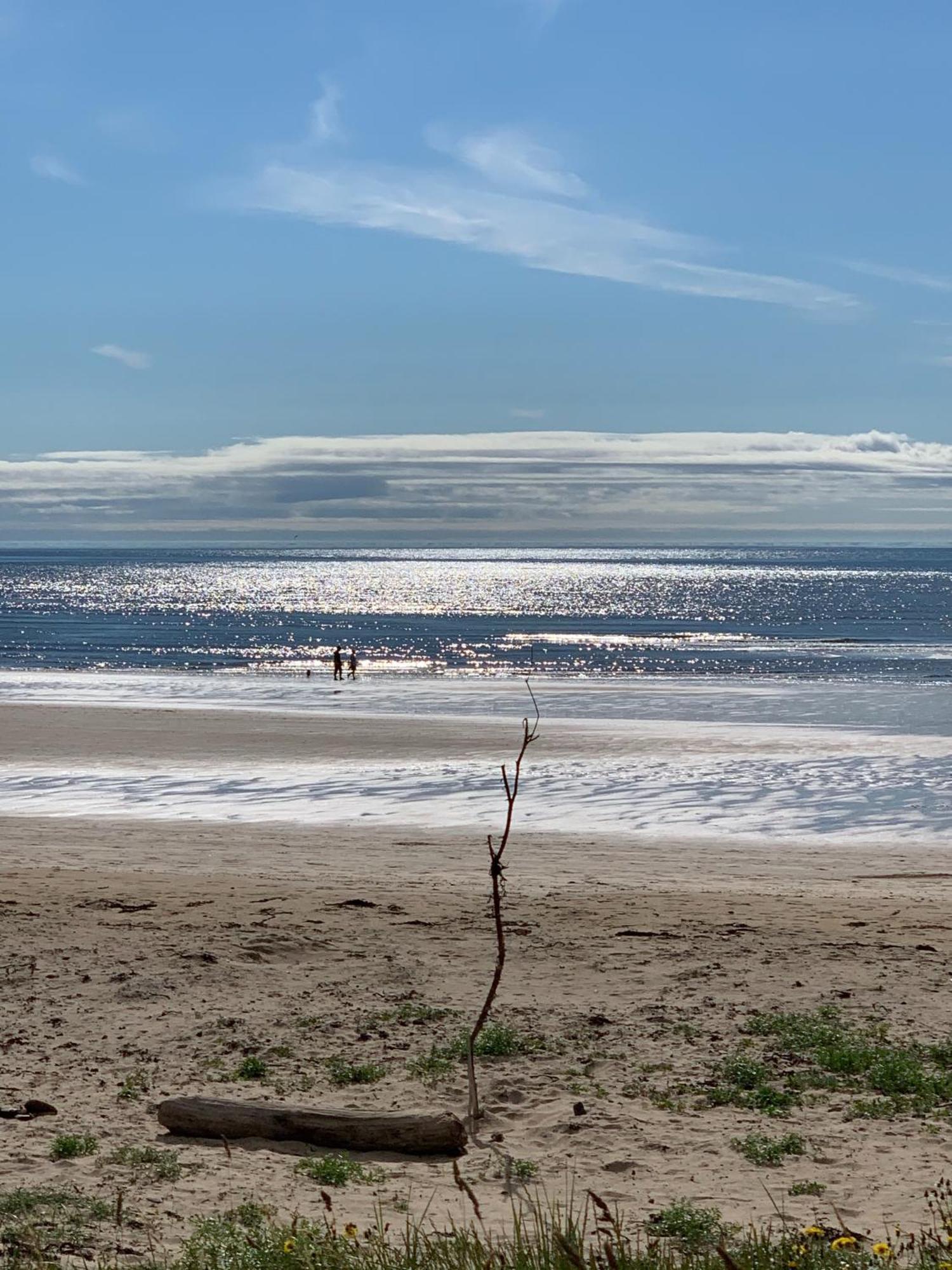 St Oswald Beach Hut Alnmouth Εξωτερικό φωτογραφία